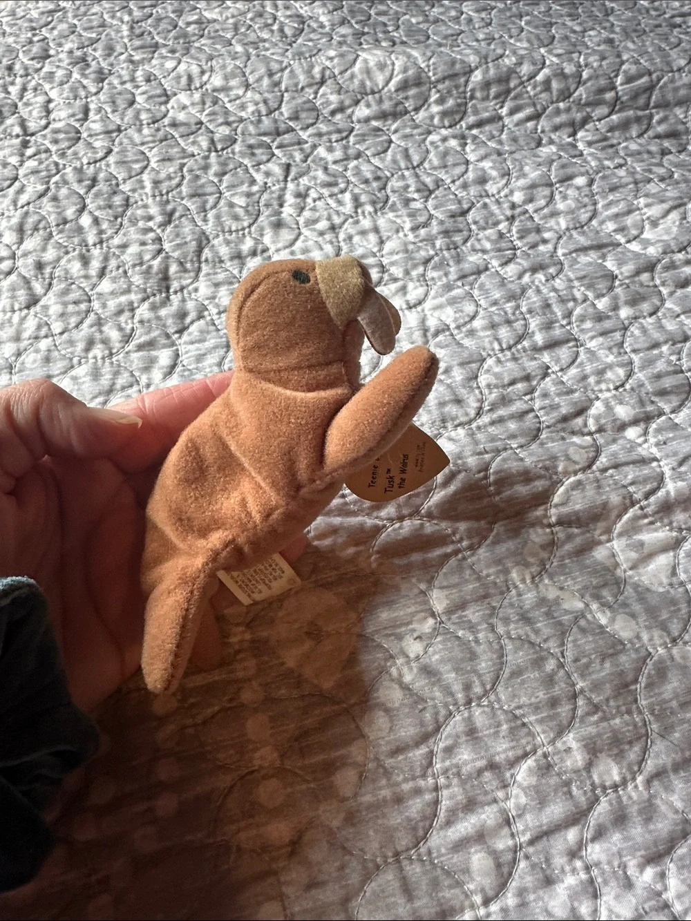 1990s Ty Plush “Tusk the Walrus” Beanie baby with Tag